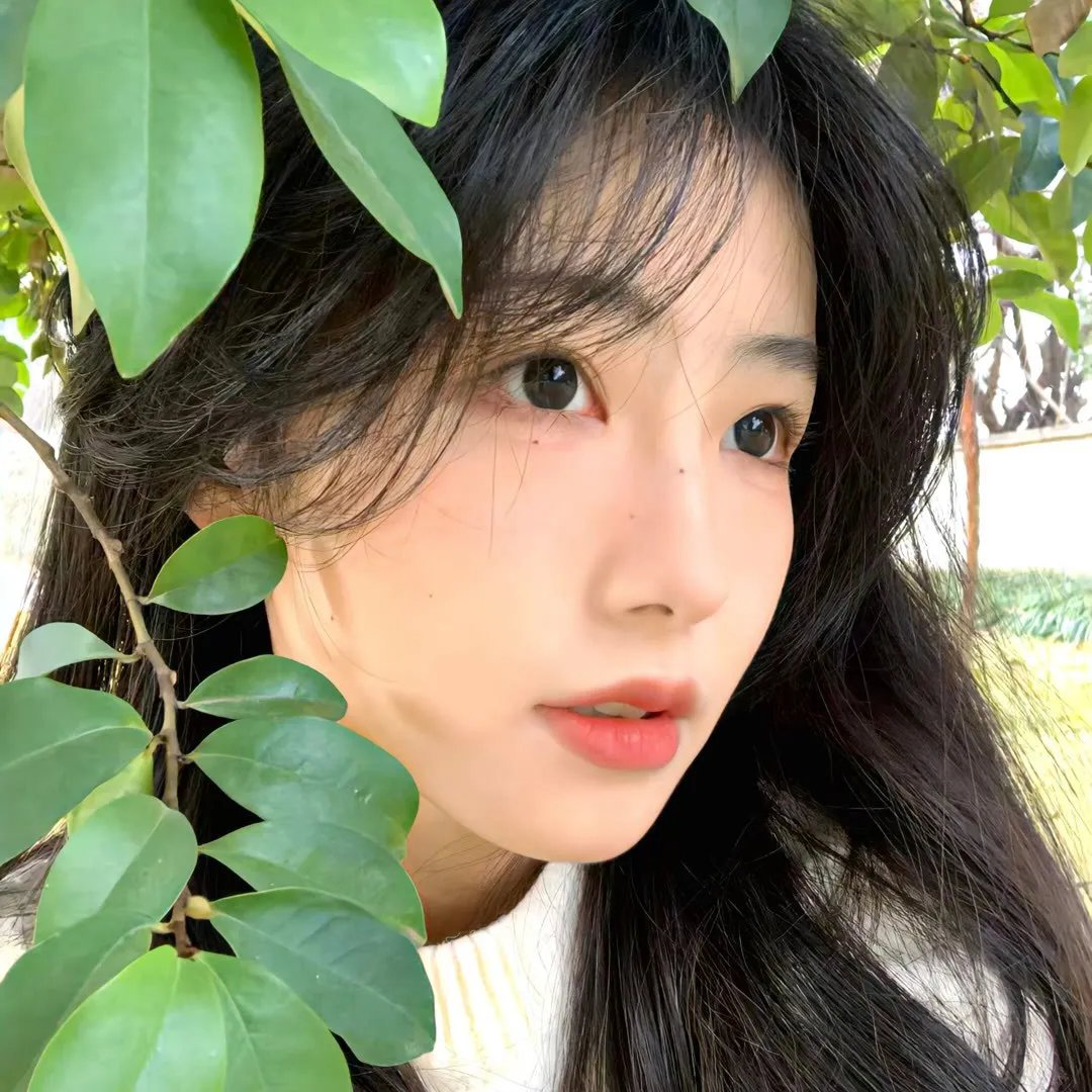 芳寸之地